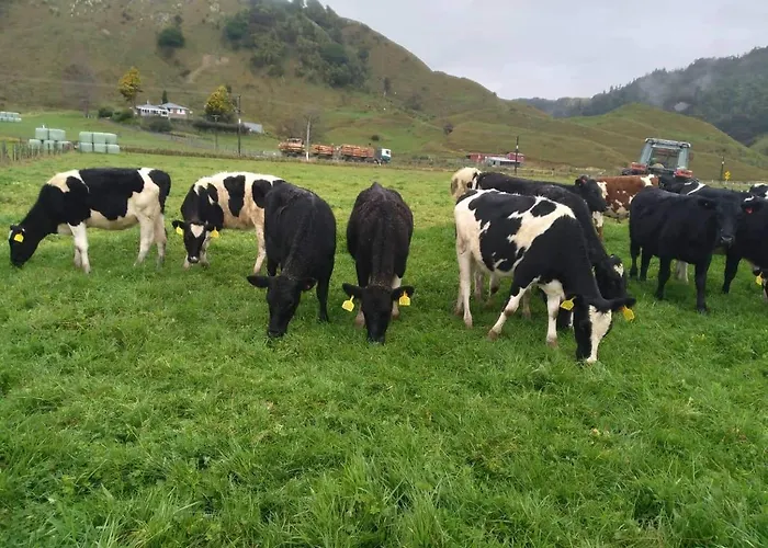 Hill Top View Farm Stay