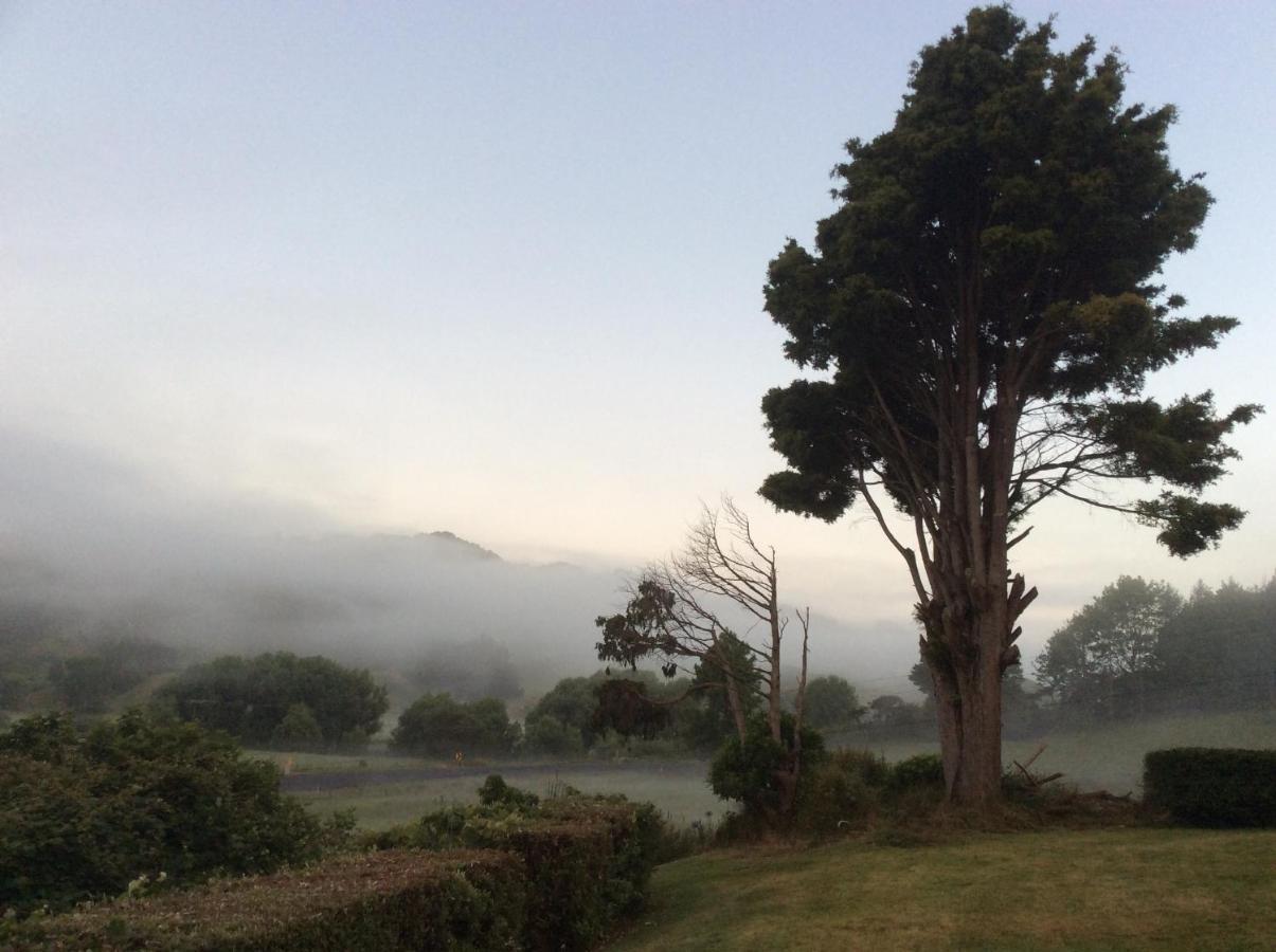 Hill View Farm * Uruti